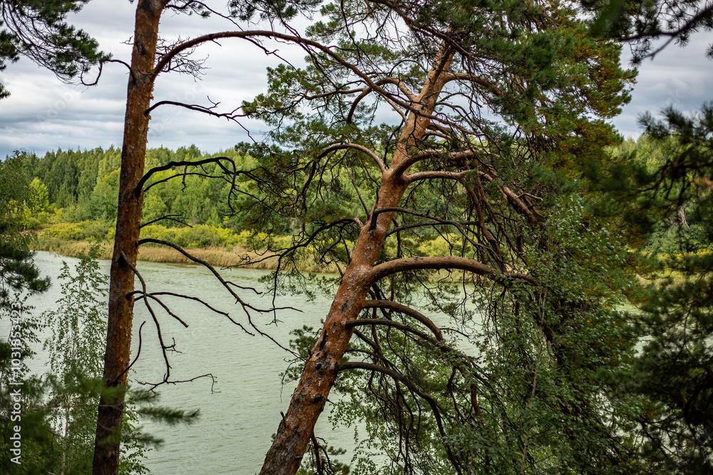 Fototapeta premium Suburbs of Tyumen, view from the Gilevskaya Roshcha park, August 2024.