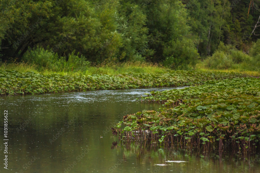 Picturesque nature of the Urals Picturesque nature of the Urals