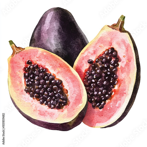 Ambarella fruit watercolor clipart illustration