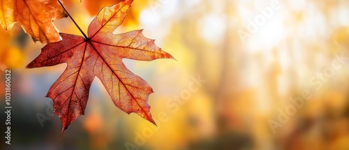  A red leaf dangles from a branch against a hazy backdrop of yellow, orange, and green foliage