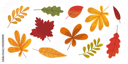 Collection of various hand drawn autumn leaves with grunge texture. Template of maple, oak, chestnut, rowan. Trendy flat illustration.