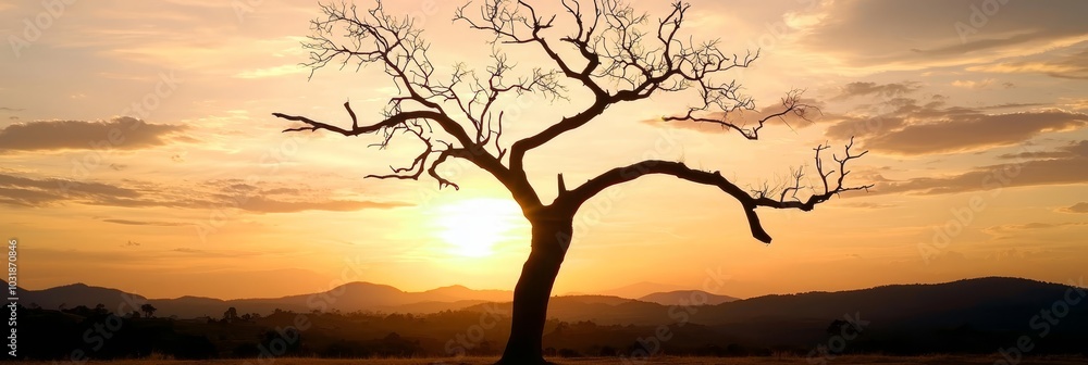 A tree devoid of leaves against a sunset backdrop of mountains and cloud-studded sky A tree devoid of leaves against a sunset backdrop of mountains and cloud-studded sky