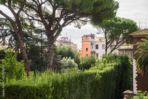 Fototapeta Naklejka Na Ścianę i Meble -  Rome, Italy. View of the city from the garden