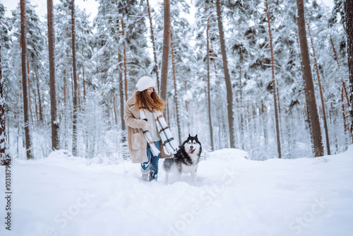 Cheerful woman in the snow playing with a husky dog. Friendship. Domestic dog concept.