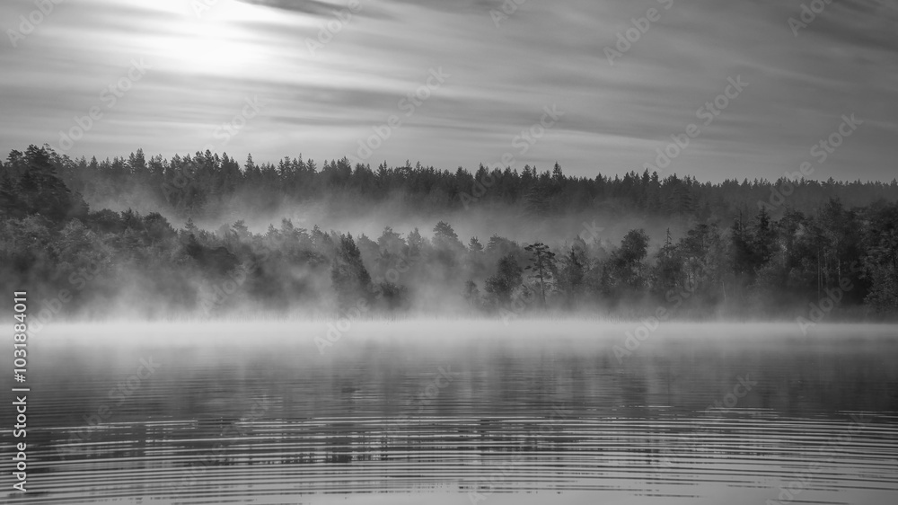 Fototapeta premium Sunrise with fog forming over a lake in Sweden, at dawn in black and white.