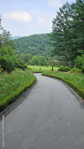 Flower path in a beautiful forest