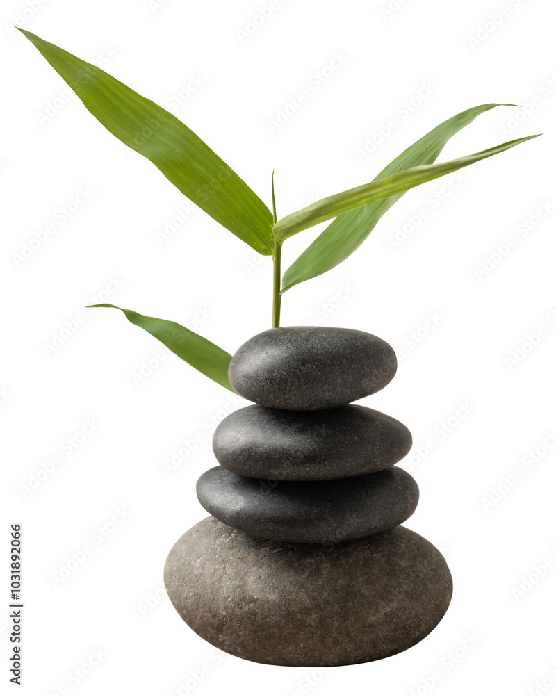 Obraz premium Zen stones png sticker, leaf, transparent background