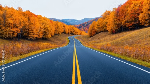 Scenic autumn road with colorful foliage. photo