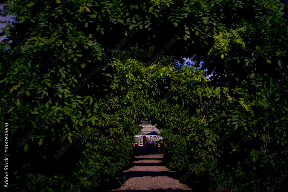 Frederiksberg Park botanical garden, Copenhagen Frederiksberg Park botanical garden, Copenhagen
