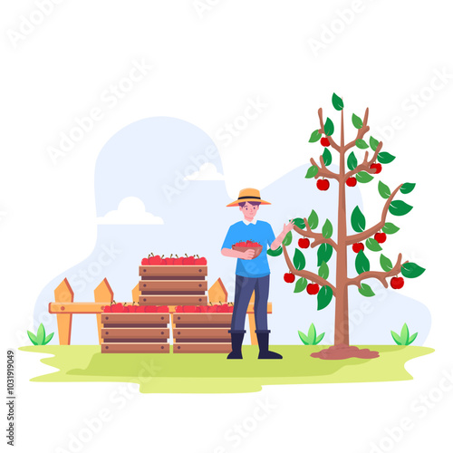Farmer Harvesting apples in basket flat vector background illustration.