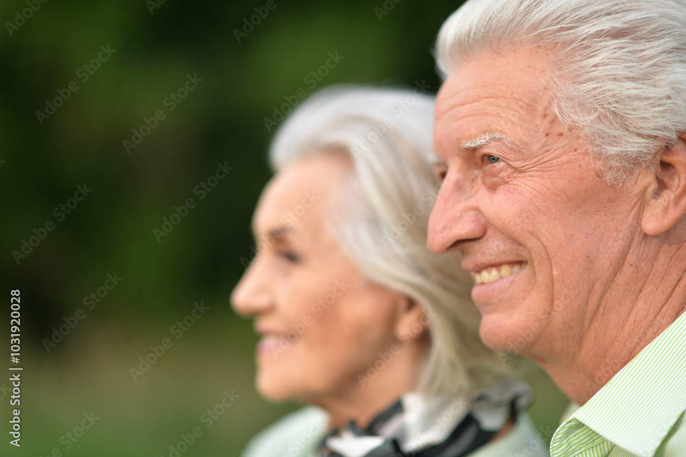 Portrait of beautiful senior couple posing in the park Portrait of beautiful senior couple posing in the park