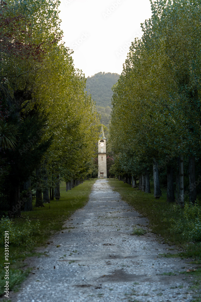 Obraz premium Road At The Entrance Of A School Surrounded By Trees With A Building In The Background In The Lake Area Of Banyoles