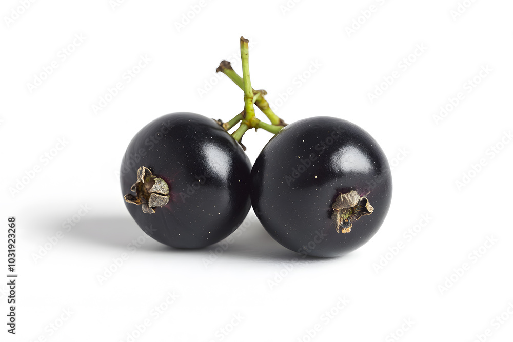 Black currant berries isolated on white background Black currant berries isolated on white background