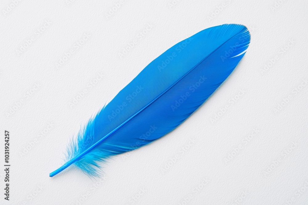 A vibrant bluebird feather with intricate details, gently resting on a pristine white surface A vibrant bluebird feather with intricate details, gently resting on a pristine white surface
