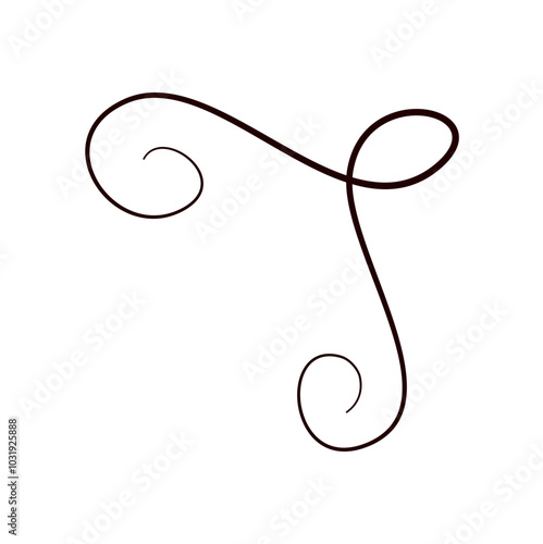 Line flourish swirl vector calligraphy ornament element