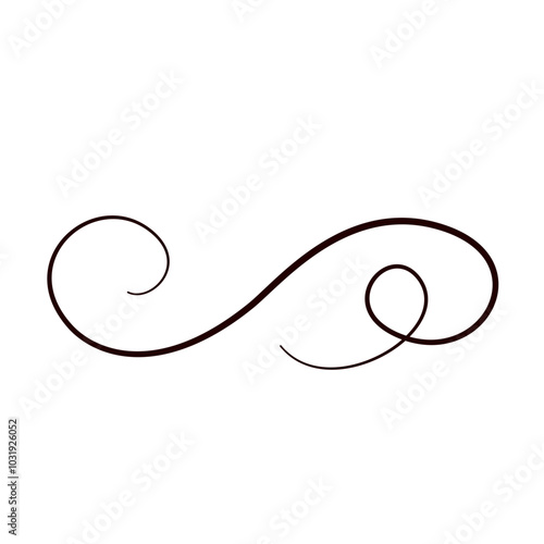 Line flourish swirl vector calligraphy ornament element