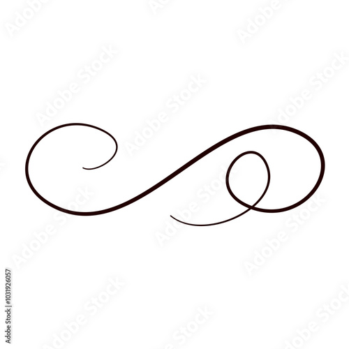 Line flourish swirl vector calligraphy ornament element