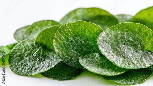 An elegant display of a Centella asiatica gel smudge, focusing on its vibrant green color and smooth texture, set against a clean white background.