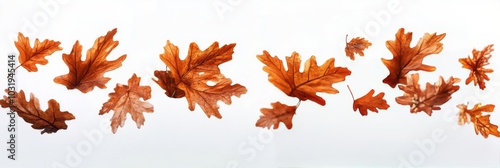 Colorful autumn leaves dancing in the air amid a serene forest background dur...