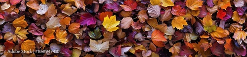 A close up of a pile of autumn leaves. The leaves are of various colors, including red, orange, and yellow. Concept of warmth and nostalgia, as it captures the beauty of the changing seasons