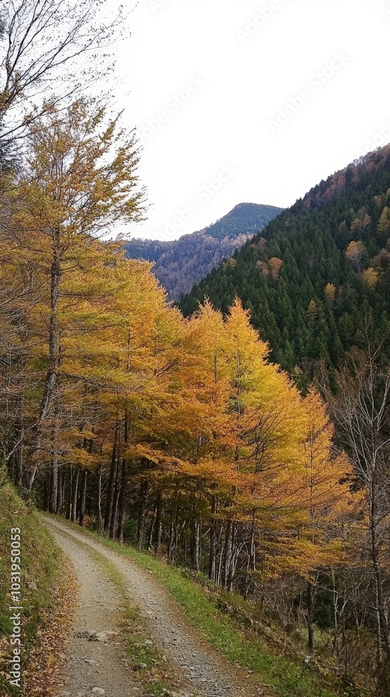Autumn path winding through vibrant orange trees in serene mountain landscape Autumn path winding through vibrant orange trees in serene mountain landscape