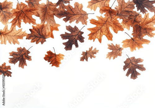 Autumn leaves scattered on a white background showcasing vibrant colors and t...
