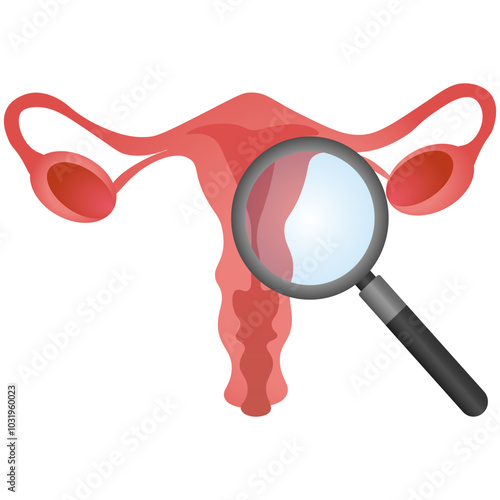 Gynecologists examine the uterus. Concept of women's health. Vector illustration