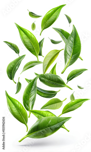 Green tea leaves. isolated on a white background, Clipping path