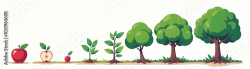 Apple Tree Growth Stages Illustration 
