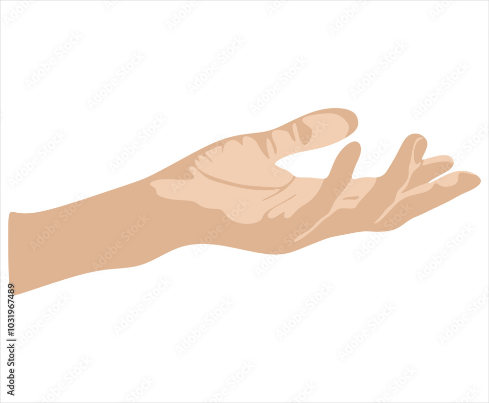 Upward facing female hand vector illustration isolated on white background. Female open palm up in receiving or holding, showing, presenting product business concept. Upward facing female hand vector illustration isolated on white background. Female open palm up in receiving or holding, showing, presenting product business concept.