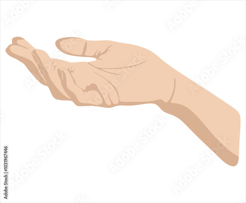 Upward facing female hand vector illustration isolated on white background. Female open palm up in receiving or holding, showing, presenting product business concept. 