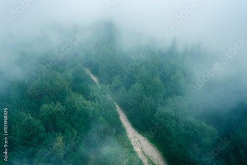 Thick fog moves over the trees, top view of dense forest in the morning. photo