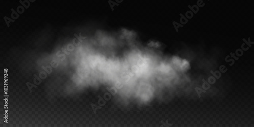 Fog or smoke, white smog clouds on floor, isolated transparent special effect. Vector illustration, morning fog over land or water surface, magic haze.	
