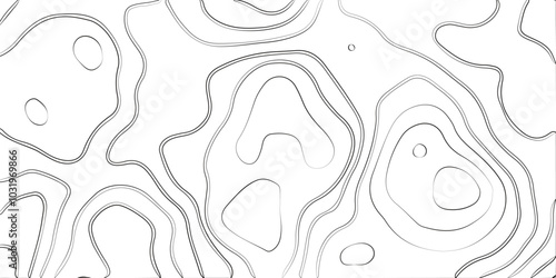 abstract pattern with lines. background of the topographic map. elevation contouring outline cartography texture. geographic abstract grid. futuristic wireframe lands. black and white seamless pattern