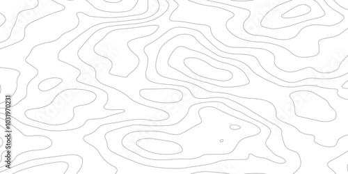 abstract pattern with lines. background of the topographic map. elevation contouring outline cartography texture. geographic abstract grid. futuristic wireframe landscape background.
