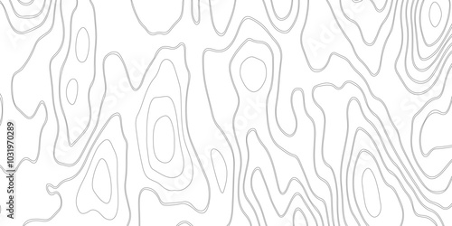 Background of the topographic map. Abstract geographic grid. Topographic map lines, contour background.