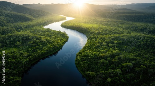 An awe-inspiring aerial view of a river curving through a lush forest under the radiant glow of the rising sun, embodying tranquility and natural harmony.