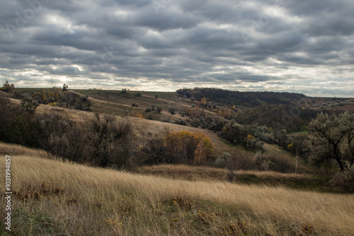 The hill overlooks the river, surrounded by yellow trees that seem to dip autumn into the water.