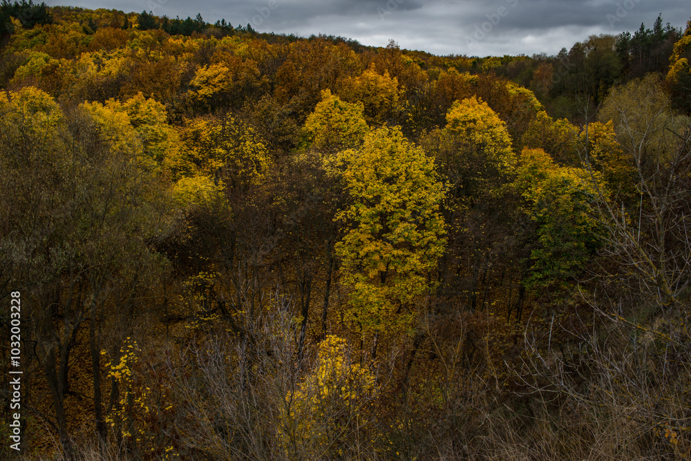 The hill overlooks the river, surrounded by yellow trees that seem to dip autumn into the water. The hill overlooks the river, surrounded by yellow trees that seem to dip autumn into the water.