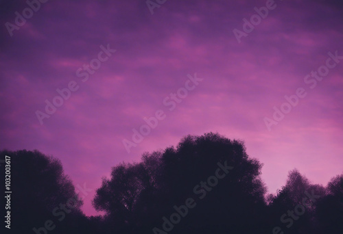 Purple sky in twilight dark night