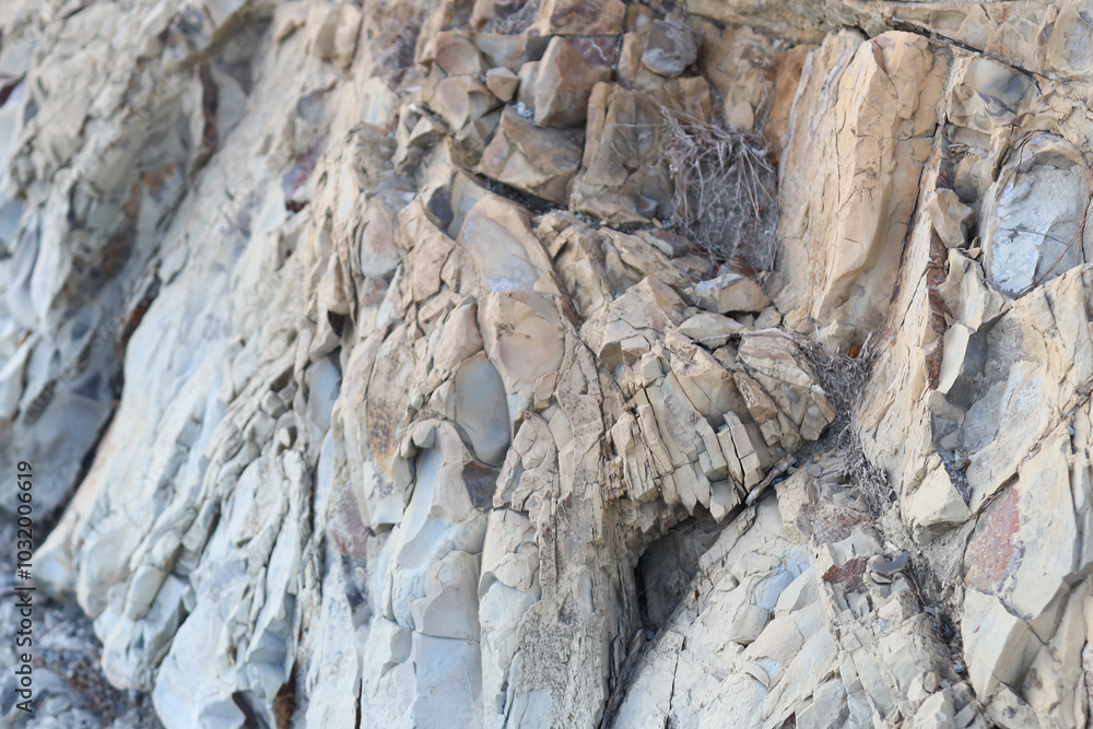 A close-up shot of a bird perched on a rock, looking around cautiously. A close-up shot of a bird perched on a rock, looking around cautiously.