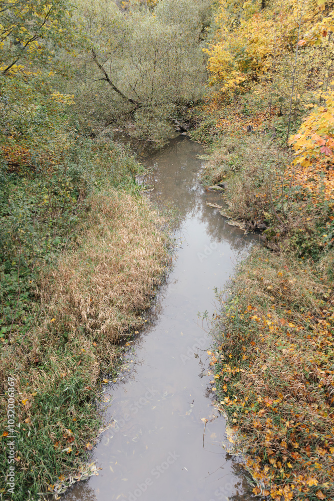 An autumn stream flows gently, bordered by grass, trees, and bushes, creating a serene natural scene filled with vibrant colors. An autumn stream flows gently, bordered by grass, trees, and bushes, creating a serene natural scene filled with vibrant colors.