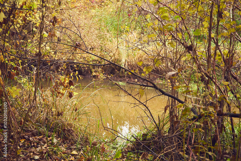 Fototapeta premium rzeka 