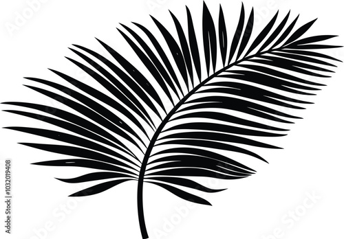 

Palm leaves silhouette, Tropical leaves vector, palm leaves and branches
