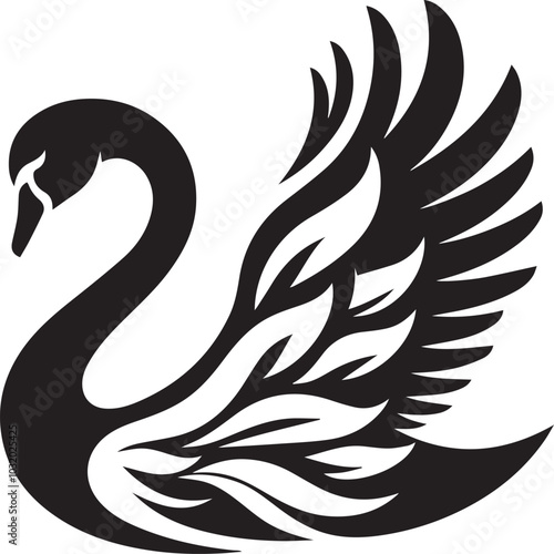 black and white swan