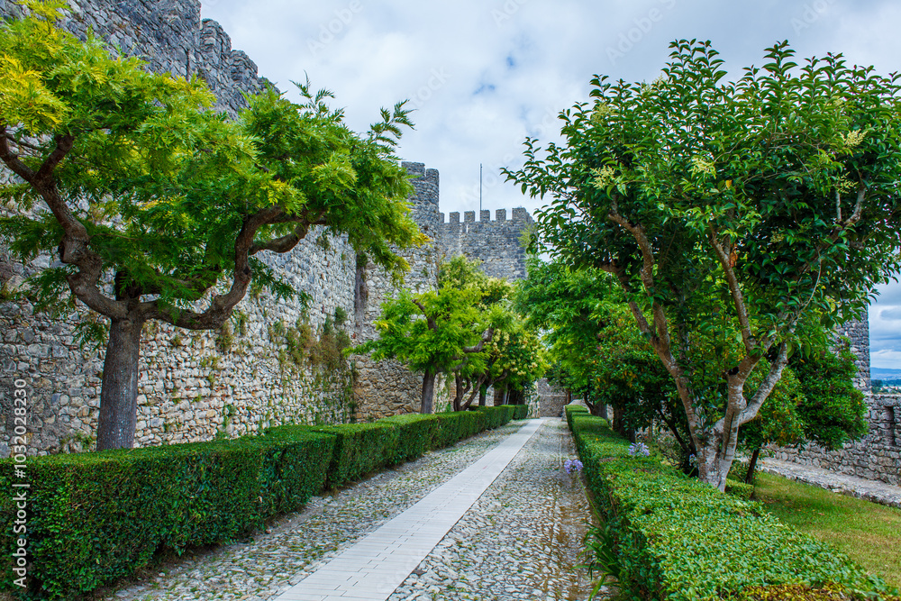 Naklejka premium A scenic stone pathway lined with manicured hedges and lush green trees