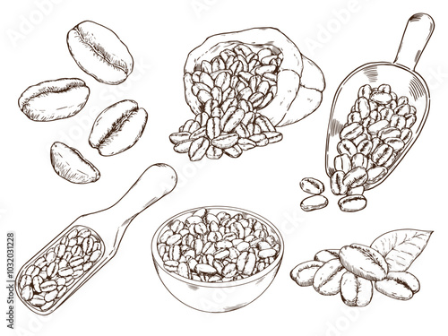 set of coffee beans in bag, bowl and scoop in hand drawn graphic style vector illustration set2
