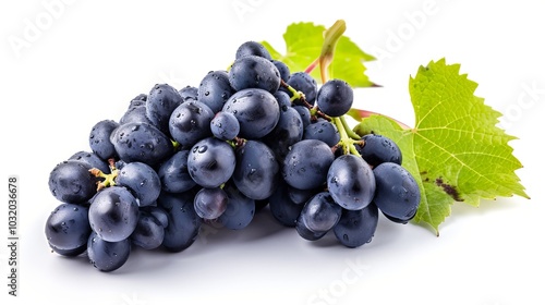 Captivating Cluster: Freshly Picked Dark Blue Grapes, Isolated on White Canvas, Enhanced Depth (