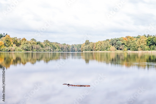 Windsor Great Park Virginia Water photo