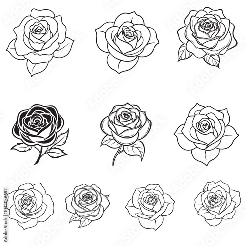 Rose flower vector